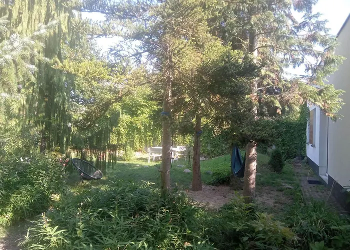 Baza Na Woli